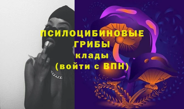прущий лед Арсеньев