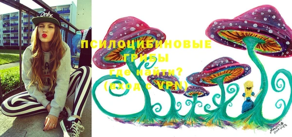 прущий лед Арсеньев