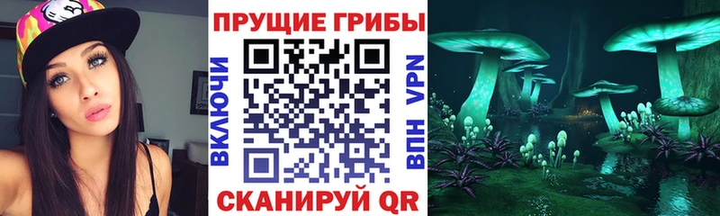МЕГА как зайти  Межгорье  Псилоцибиновые грибы мицелий  купить наркотик 